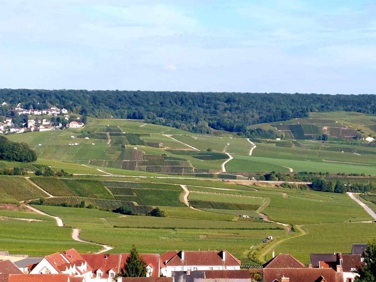 Epernay Capital De Champagne Appartement Buitenkant foto